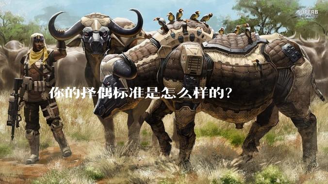 你的择偶标准是怎么样的？